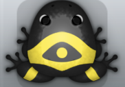 Black Aurum Ocularis Frog from Pocket Frogs