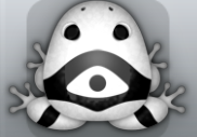 White Picea Ocularis Frog from Pocket Frogs