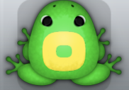 Emerald Aurum Orbis Frog from Pocket Frogs