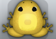 Golden Aurum Orbis Frog from Pocket Frogs