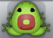Green Tingo Orbis Frog from Pocket Frogs