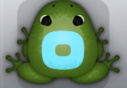 Olive Callaina Orbis Frog from Pocket Frogs