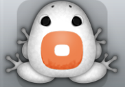 White Carota Orbis Frog from Pocket Frogs