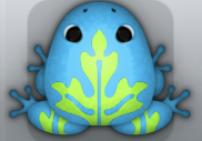 Azure Folium Ornatus Frog from Pocket Frogs