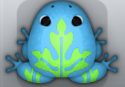 Azure Muscus Ornatus Frog from Pocket Frogs