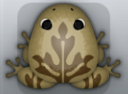 Beige Bruna Ornatus Frog from Pocket Frogs