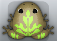 Beige Folium Ornatus Frog from Pocket Frogs