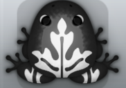 Black Albeo Ornatus Frog from Pocket Frogs