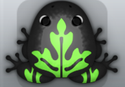 Black Muscus Ornatus Frog from Pocket Frogs