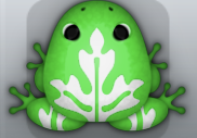 Emerald Albeo Ornatus Frog from Pocket Frogs