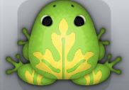 Green Aurum Ornatus Frog from Pocket Frogs