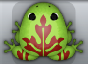 Green Tingo Ornatus Frog from Pocket Frogs