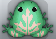 Marine Ceres Ornatus Frog from Pocket Frogs