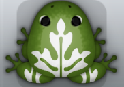 Olive Albeo Ornatus Frog from Pocket Frogs