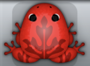 Red Tingo Ornatus Frog from Pocket Frogs