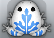 White Caelus Ornatus Frog from Pocket Frogs