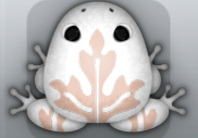 White Ceres Ornatus Frog from Pocket Frogs