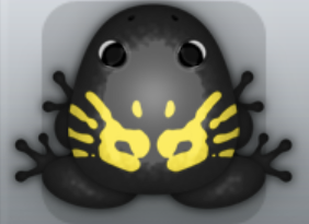 Black Aurum Palma Frog from Pocket Frogs