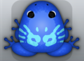 Blue Callaina Palma Frog from Pocket Frogs