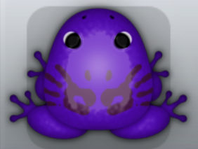 Purple Pruni Palma Frog from Pocket Frogs