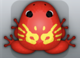 Red Aurum Palma Frog from Pocket Frogs