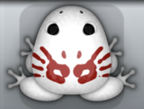White Tingo Palma Frog from Pocket Frogs