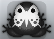 Black Albeo Papilio Frog from Pocket Frogs