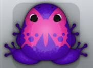 Purple Floris Papilio Frog from Pocket Frogs