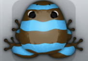 Azure Bruna Partiri Frog from Pocket Frogs