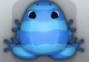 Azure Caelus Partiri Frog from Pocket Frogs