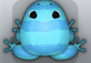 Azure Callaina Partiri Frog from Pocket Frogs