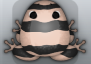 Black Ceres Partiri Frog from Pocket Frogs