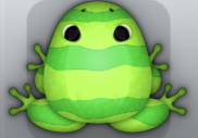 Emerald Folium Partiri Frog from Pocket Frogs