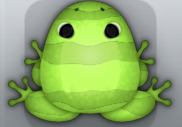 Green Folium Partiri Frog from Pocket Frogs