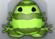 Olive Folium Partiri Frog from Pocket Frogs