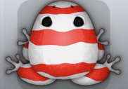 Red Albeo Partiri Frog from Pocket Frogs
