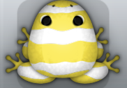 White Aurum Partiri Frog from Pocket Frogs