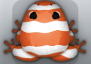 White Carota Partiri Frog from Pocket Frogs