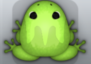 Green Folium Persona Frog from Pocket Frogs