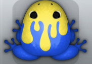 Blue Aurum Pictoris Frog from Pocket Frogs