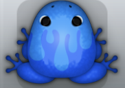 Blue Caelus Pictoris Frog from Pocket Frogs