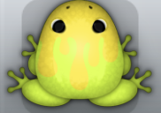 Lime Aurum Pictoris Frog from Pocket Frogs