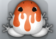 White Carota Pictoris Frog from Pocket Frogs