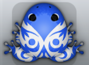 Blue Albeo Pingo Frog from Pocket Frogs