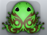 Emerald Bruna Pingo Frog from Pocket Frogs