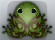 Olive Cafea Pingo Frog from Pocket Frogs