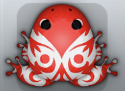 Red Albeo Pingo Frog from Pocket Frogs