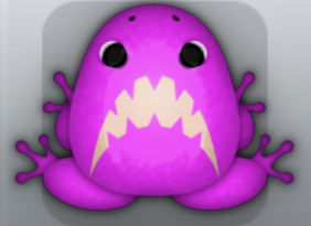 Pink Ceres Pistrix Frog from Pocket Frogs