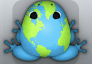 Azure Folium Planeta Frog from Pocket Frogs