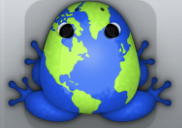 Blue Folium Planeta Frog from Pocket Frogs